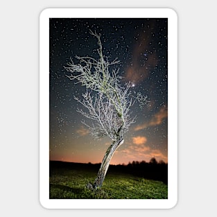 Night landscape with tree Sticker